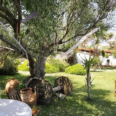 Ataol & Hotel Tenedos