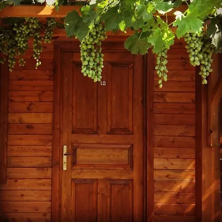 Hotel Ataol & Tenedos